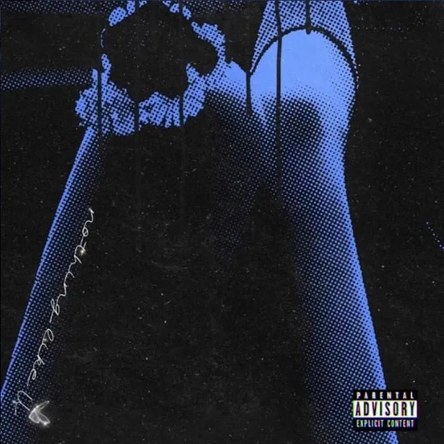 Nothing Like You cover art